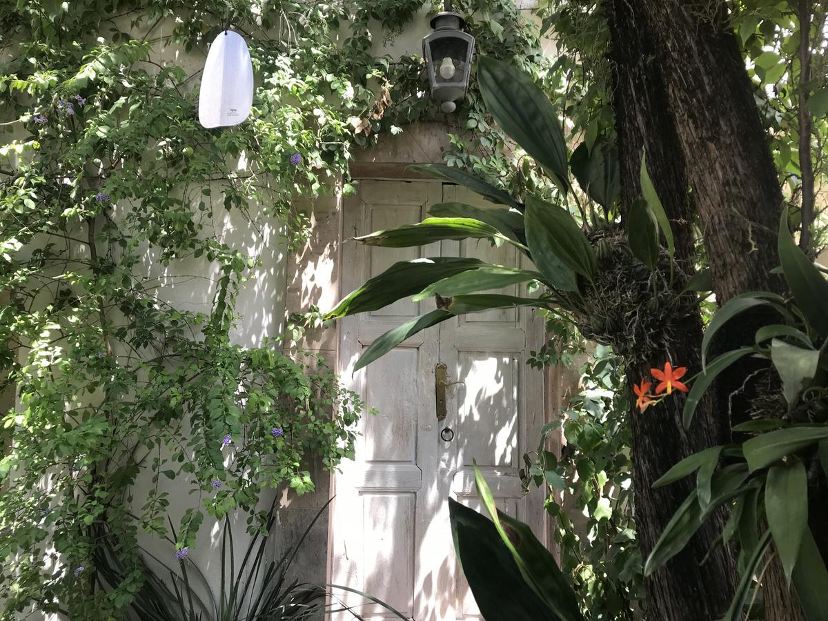 Hotel Fk San Miguel de Allende Exterior foto